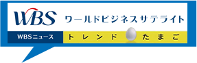 見た目はごく普通のクッションしかし中身は…