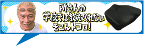 見た目はごく普通のクッションしかし中身は…